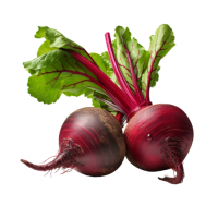 Bild_Produkt_RoteRueben